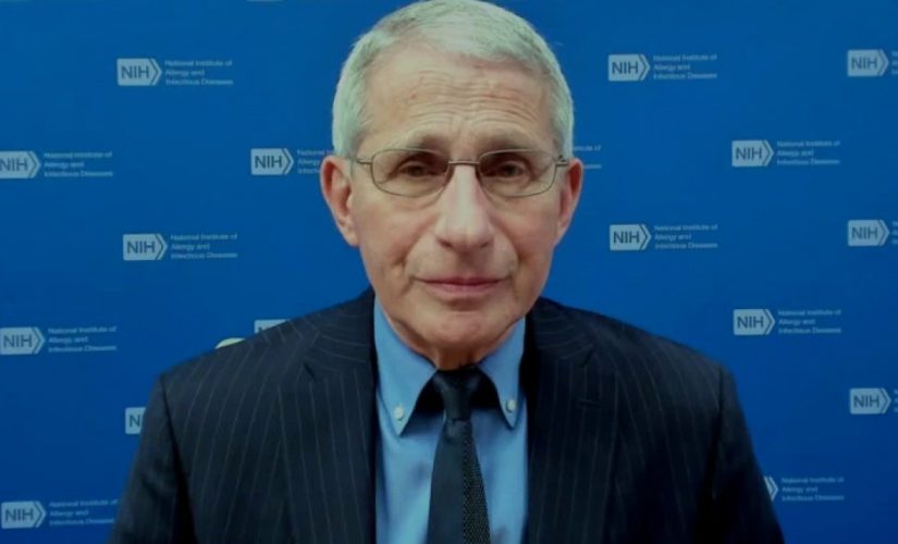 Developing potent antivirals targeting COVID-19 ‘direction of the future,’ Fauci says