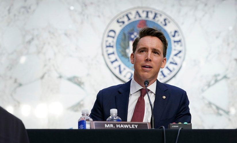 NBC News historian brutally mocked after comparing Hawley to McCarthy for pointing ‘menacingly’