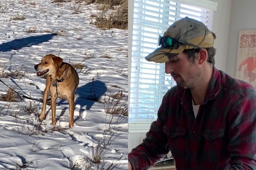 Missing Colorado hiker’s dog found alive as search for owner is suspended