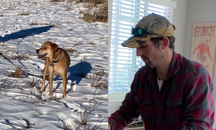 Missing Colorado hiker’s dog found alive as search for owner is suspended