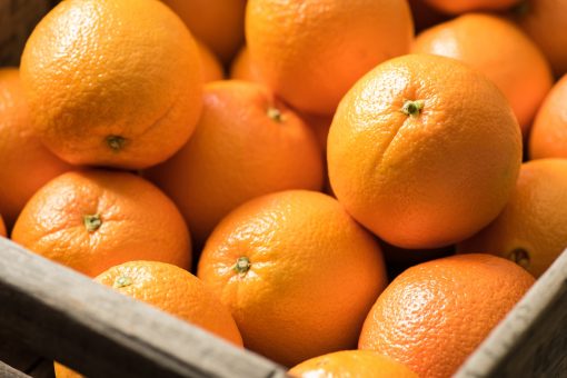 Four travelers eat 66 pounds of oranges to avoid extra airline fees: ‘Never want to have any oranges again’