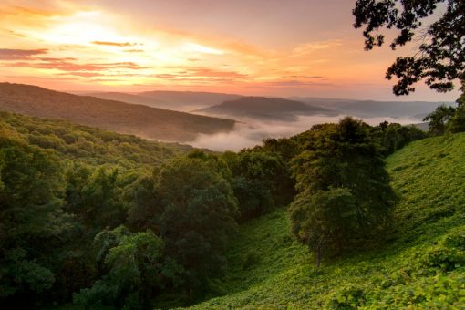 26,000 people applied to move to Arkansas and get $10G