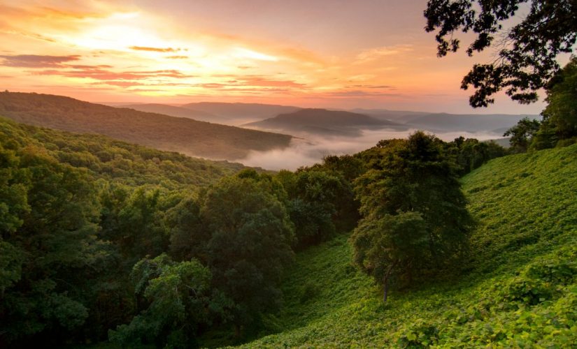 26,000 people applied to move to Arkansas and get $10G