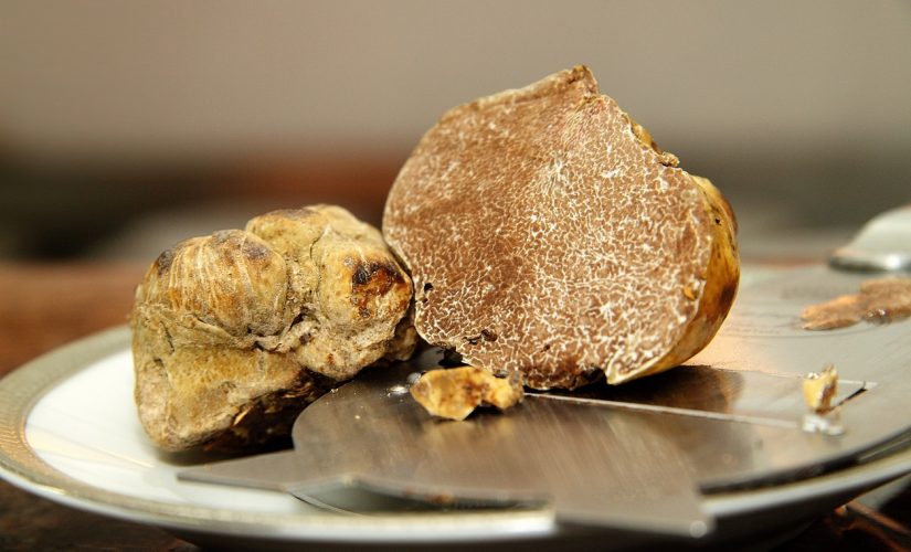 White truffle ‘orchards’ may help bring pricy pasta topping to the masses, French researchers say