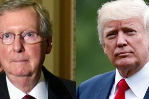 Trump-McConnell spat leads Rick Scott, Senate GOP reelection chair, to seek unity