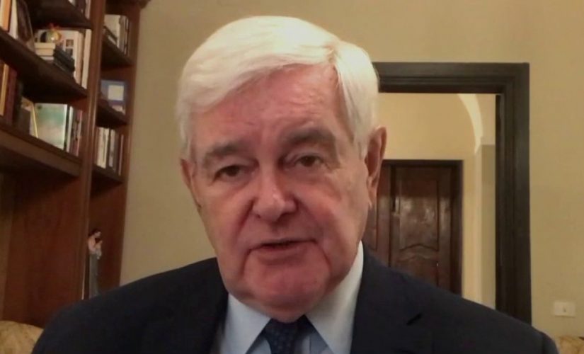 Newt Gingrich: Small businesses suffering – this is what we must do now to save them