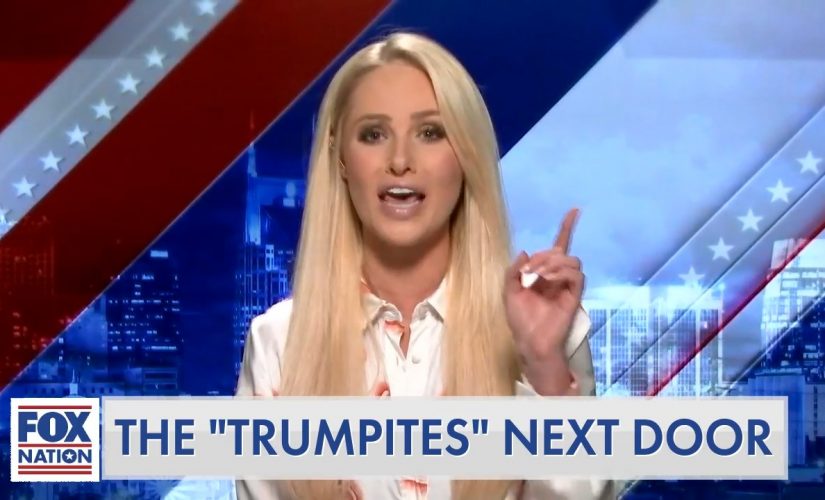 ‘Seek help:’ Tomi Lahren goes after columnist complaining about pro-Trump neighbors who shoveled her snow