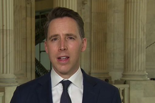 Hawley: Congress must ‘get all of the facts’ on possible ‘collusion’ between Big Tech, hedge funds