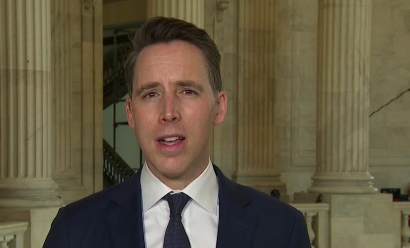 Hawley: Congress must ‘get all of the facts’ on possible ‘collusion’ between Big Tech, hedge funds