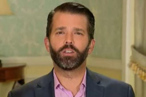 Liz Cheney in Donald Trump Jr.’s 2022 crosshairs