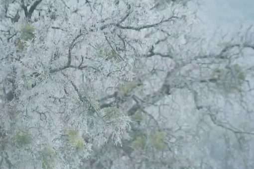 Winter storm delays 200,000 Moderna COVID-19 vaccine doses to Florida