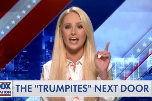 ‘Seek help:’ Tomi Lahren goes after columnist complaining about pro-Trump neighbors who shoveled her snow