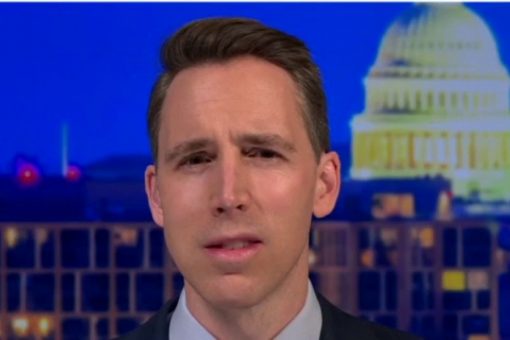 Hawley decries ‘outrageous’ Honoré appointment: ‘He has no business leading a security review’