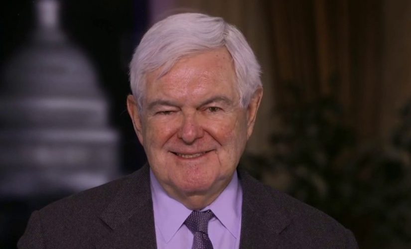 Trump should focus on 2022 elections, not 2024, in CPAC address: Newt Gingrich