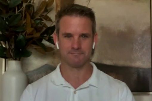 Illinois county GOP censures Kinzinger over impeachment vote