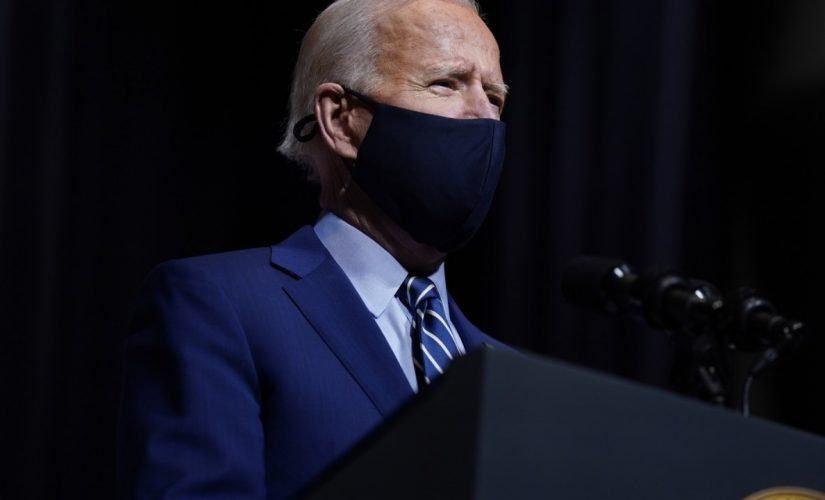 Biden says ‘almost everybody’ could have COVID-19 vaccines by ‘the end of summer’