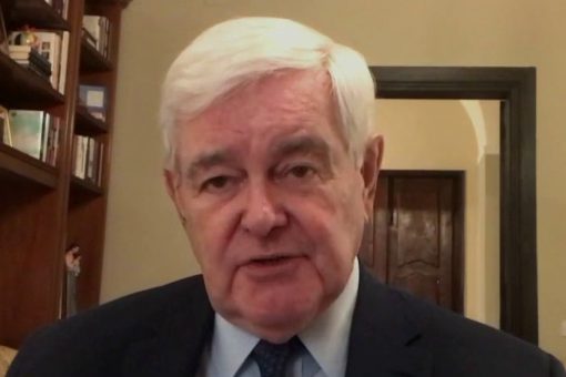 Newt Gingrich: Small businesses suffering – this is what we must do now to save them