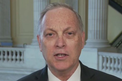 Rep. Andy Biggs: Fight for election integrity – here’s how Americans can defeat Democrats’ HR1