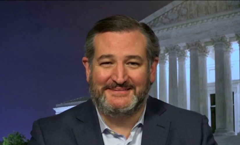 Cruz opposes Xavier Becerra as ‘absurd’ Biden pick for HHS secretary: ‘He’s not a doctor’
