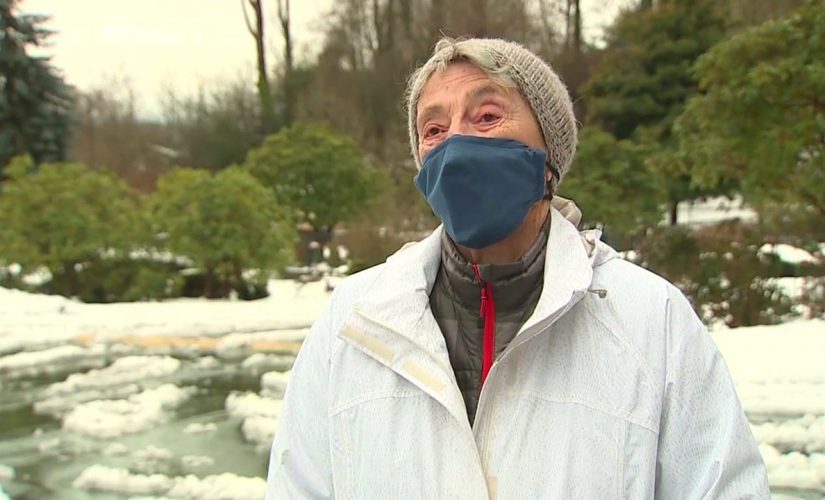 90-year-old woman braves snow storm, walks 6 miles for coronavirus vaccine