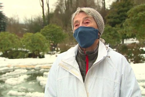 90-year-old woman braves snow storm, walks 6 miles for coronavirus vaccine