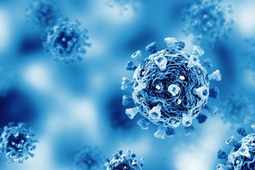 South African coronavirus variant detected in New York resident