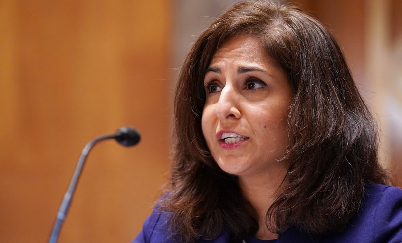 Neera Tanden OMB nomination hanging by a thread as Dems launch ‘full-scale effort’ to find votes