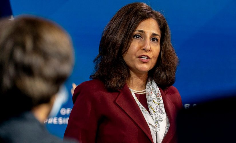 Biden budget nominee Neera Tanden could face testy hearings amid scrutiny of inflammatory tweets