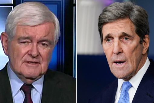 Gingrich rips Kerry, Pelosi, Newsom, de Blasio over ‘contempt for mere citizens’