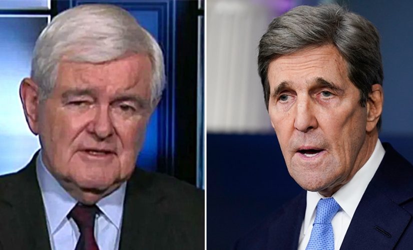 Gingrich rips Kerry, Pelosi, Newsom, de Blasio over ‘contempt for mere citizens’