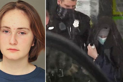 TikTok removes account linked to Pennsylvania teen accused of murdering wheelchair-using sister