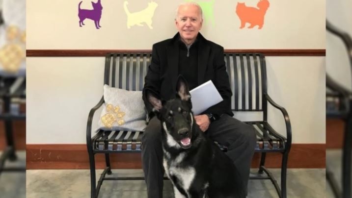 Doctor says Biden’s symptoms have improved since foot fracture while playing with his dog Major