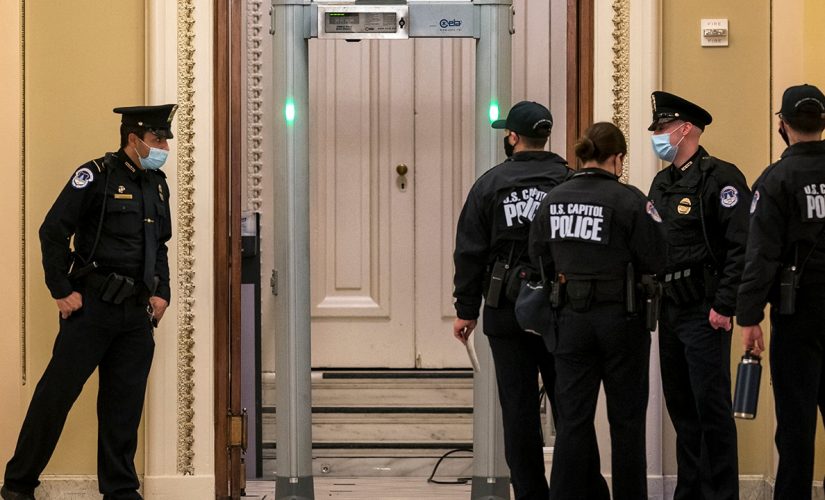 GOP congressman appeals Pelosi-ordered fine after bypassing House floor metal detectors