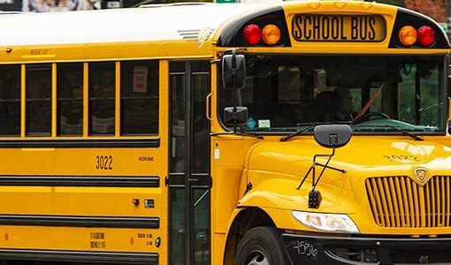 Veteran Bronx educator claims she was fired after refusing ‘Black Panther’ salute