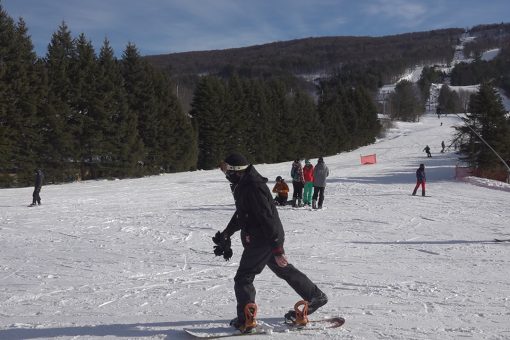 Snowbirds are showing increased interest in ski towns