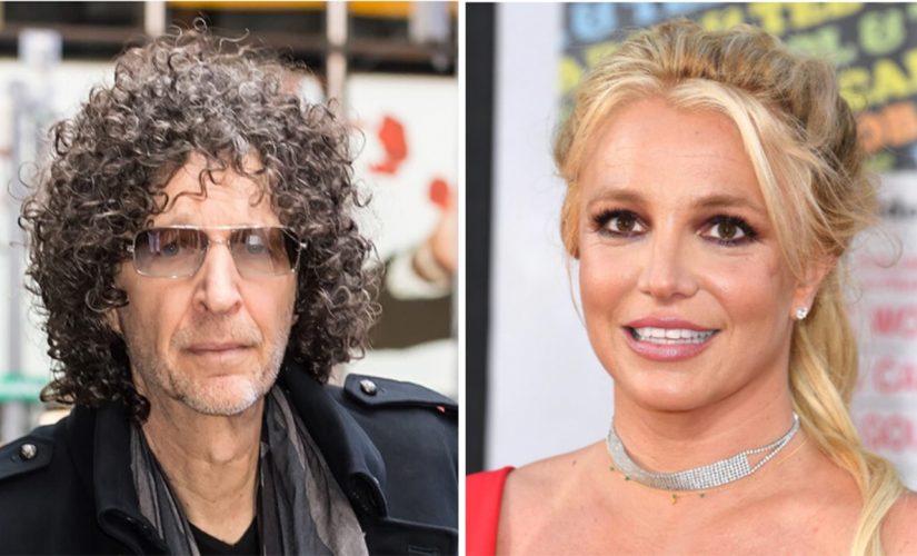 Howard Stern supports Britney Spears, #FreeBritney movement after years of mocking pop star