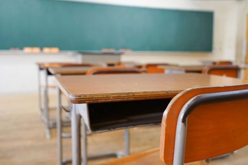 Maryland school employee’s alleged Zoom masturbation didn’t break state law, police say