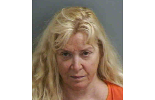 Florida woman accused of drunkenly stabbing sister with EpiPen, says she’s ‘allergic to drunks’