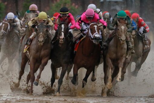 California racetrack suing animal-rights activists for disrupting horse racing: report