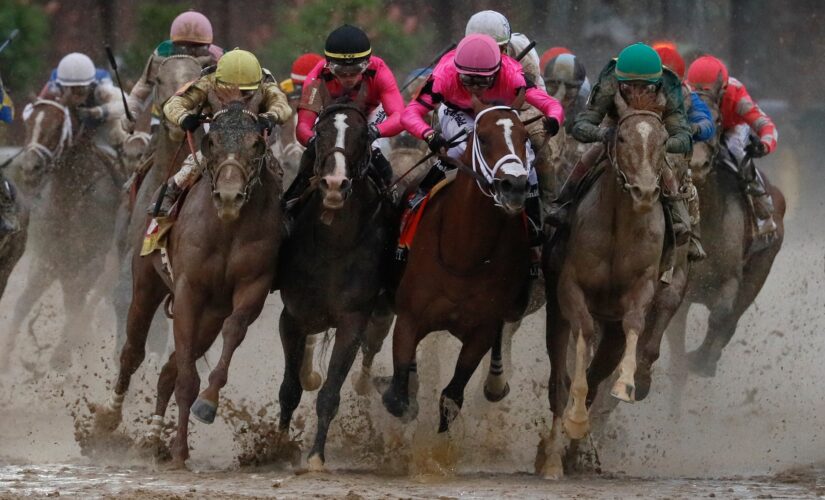 California racetrack suing animal-rights activists for disrupting horse racing: report
