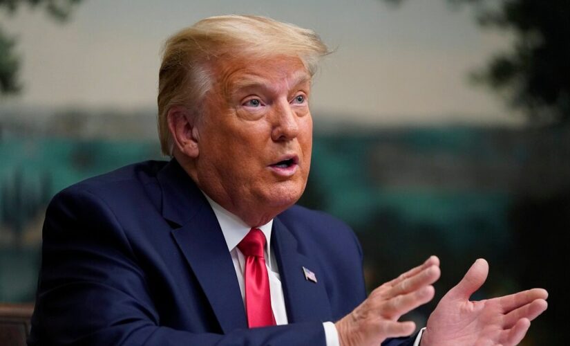 Trump returning to social media with ‘his own platform’ in 2-3 months: adviser