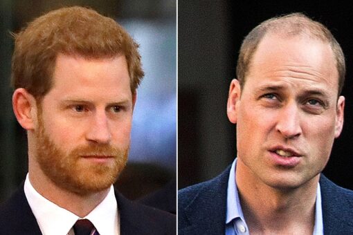 Prince Harry, Prince William ‘have opened communication channels’ after Oprah Winfrey interview: report