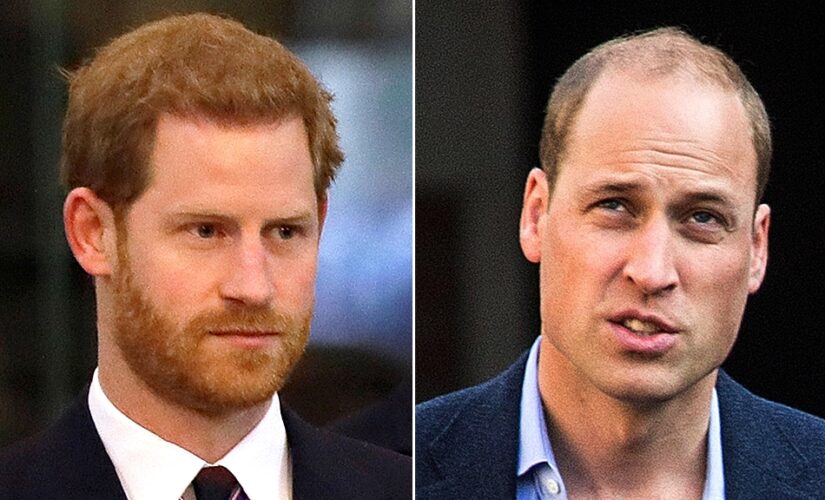 Prince Harry, Prince William ‘have opened communication channels’ after Oprah Winfrey interview: report