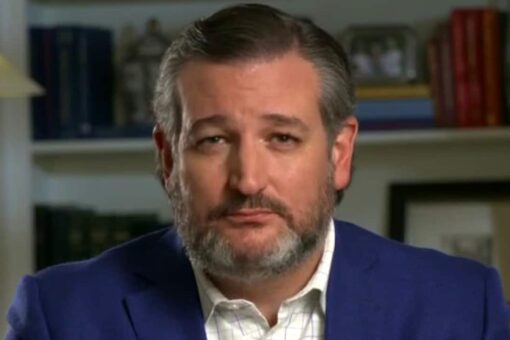 Ted Cruz reflects on what he saw at the southern border: Biden is creating ‘public health menace’