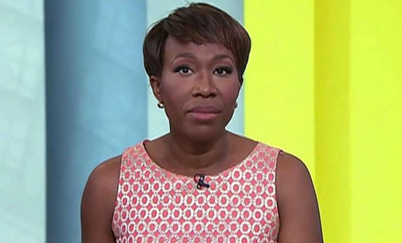 MSNBC’s Joy Reid claims red states care about Blacks only if they ‘get their behinds into the factory’