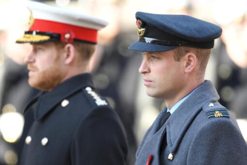 Prince Harry, Prince William may never ‘have the same closeness,’ royal expert claims: ‘It’s gone too far’