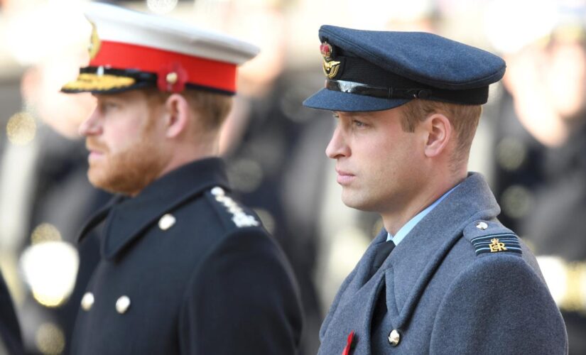 Prince Harry, Prince William may never ‘have the same closeness,’ royal expert claims: ‘It’s gone too far’