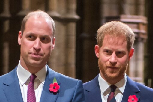 Prince William ‘deeply distressed’ after Prince Harry shared private conversation with Gayle King: report