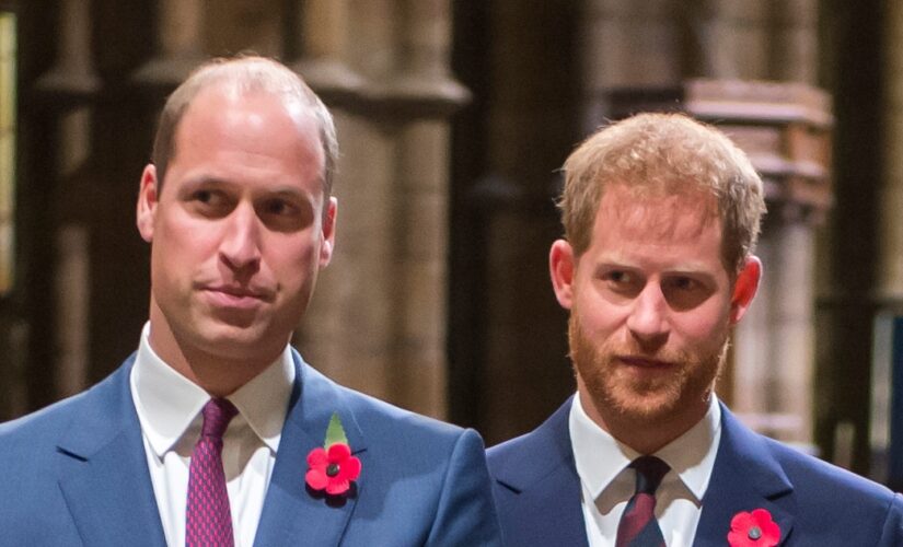 Prince William ‘deeply distressed’ after Prince Harry shared private conversation with Gayle King: report