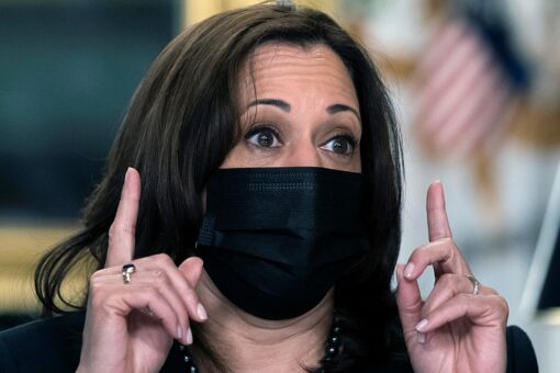 Harris acknowledges major new social welfare spending in $1.9T COVID relief bill was ‘intentional’
